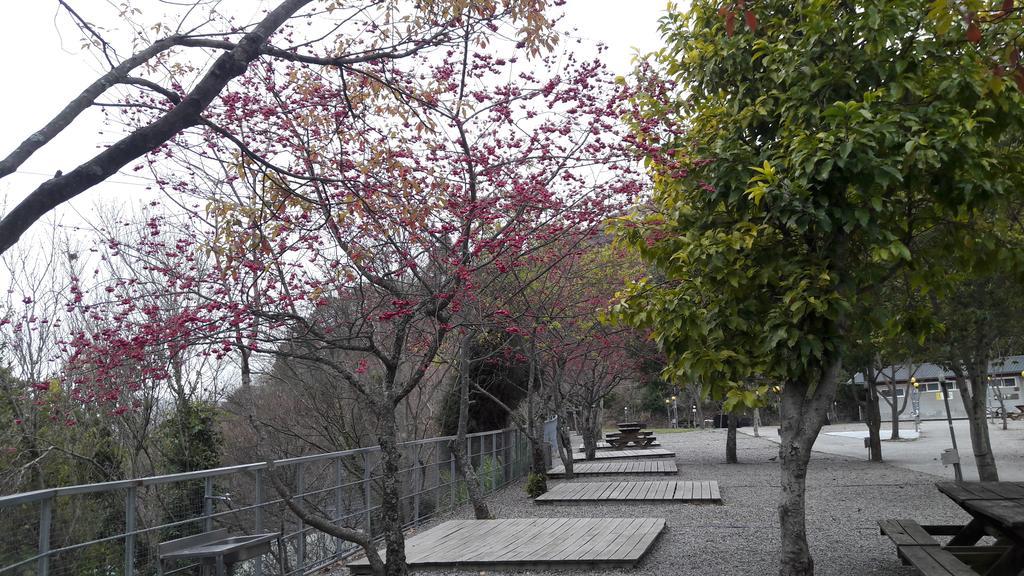 Qing Jing Xiao Taiyang Jingguan Homestay Renai Dış mekan fotoğraf