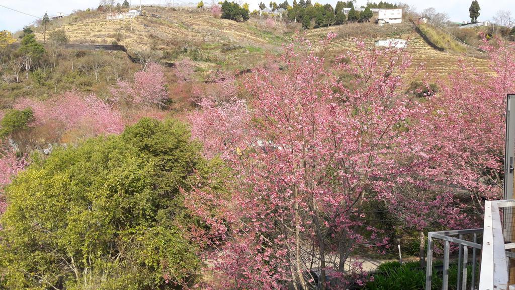 Qing Jing Xiao Taiyang Jingguan Homestay Renai Dış mekan fotoğraf
